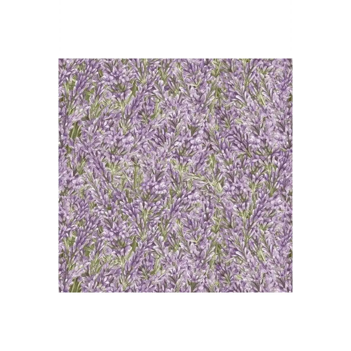 Henry Glass & Co. Fabrics, Lavender Garden Collection - Lavender - 9873-56* (Sold By 1/2 Meter)