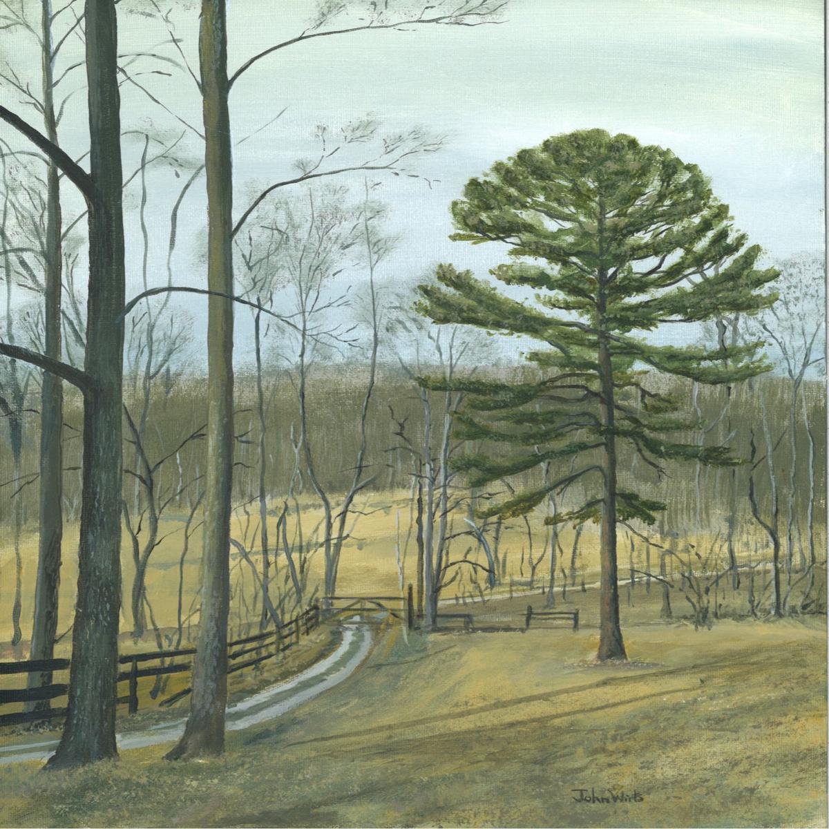Print-Shortleaf Pine on the Ridge