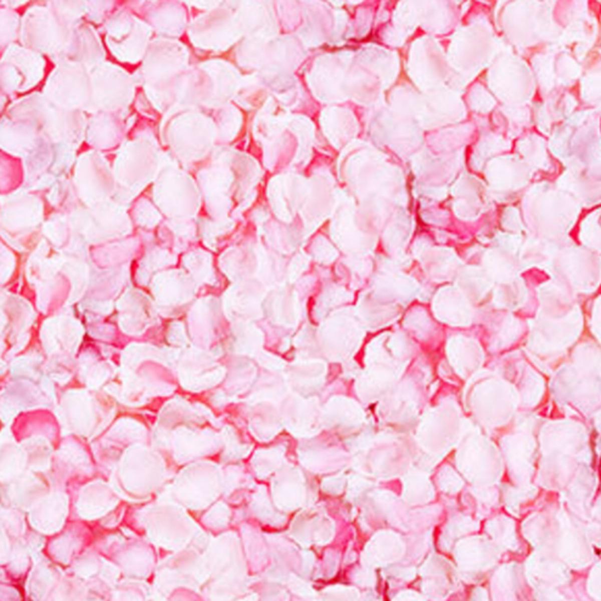 Northcott Fabrics, Budding Romance Collection - Pink* (Sold By 1/2 Meter)