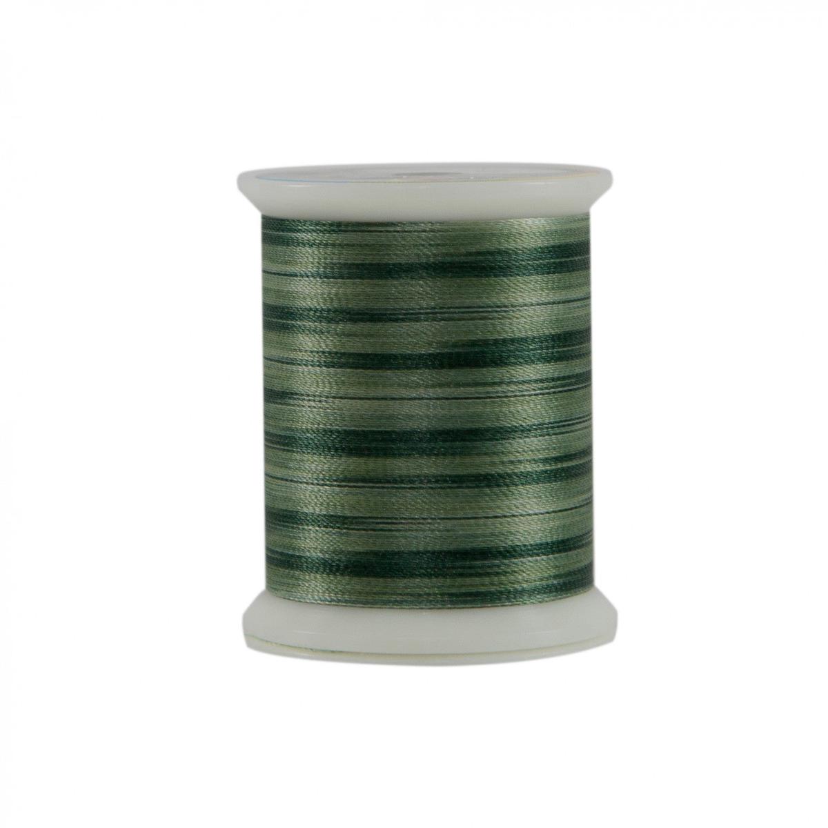 FANTASTICO - 40 WT Variegated Trilobal Polyester 500yd, 5014 Pine Valley