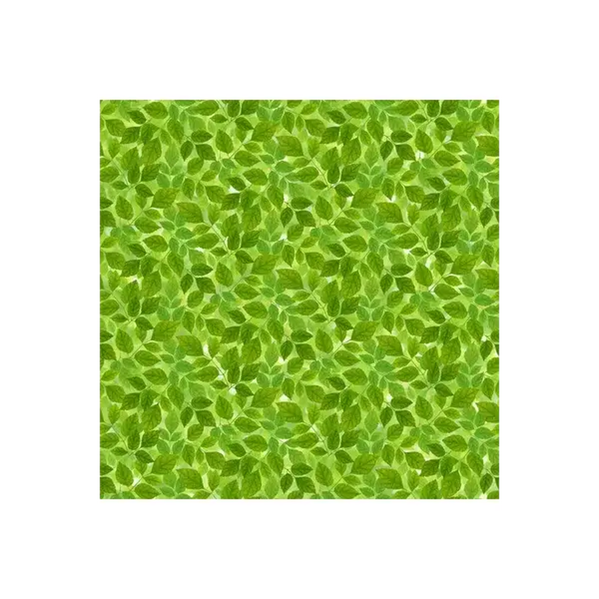 Northcott Fabrics, Budding Romance, Green - DP23849-74 (Sold By 1/2 Meter)