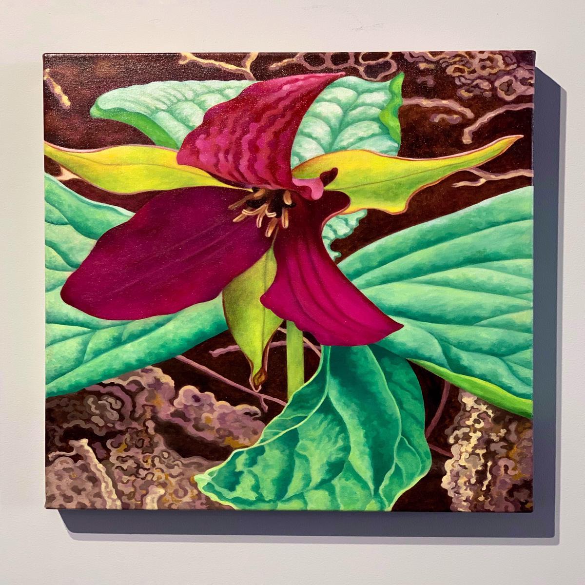 In the Woods-Wake Robin Trillium