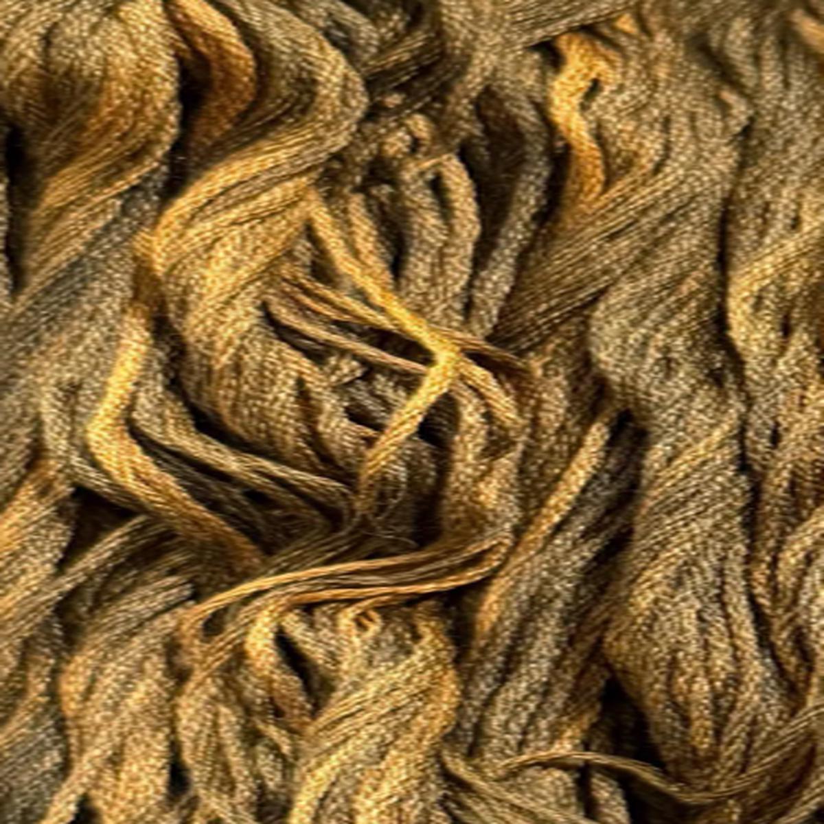 Kelp 0480