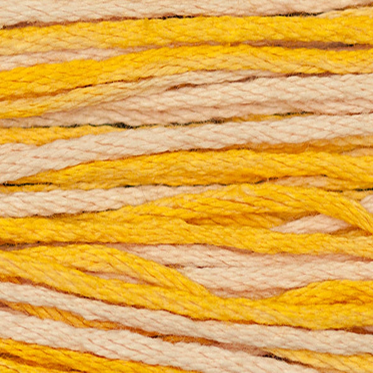 Mimosa (Yellow) - 2231