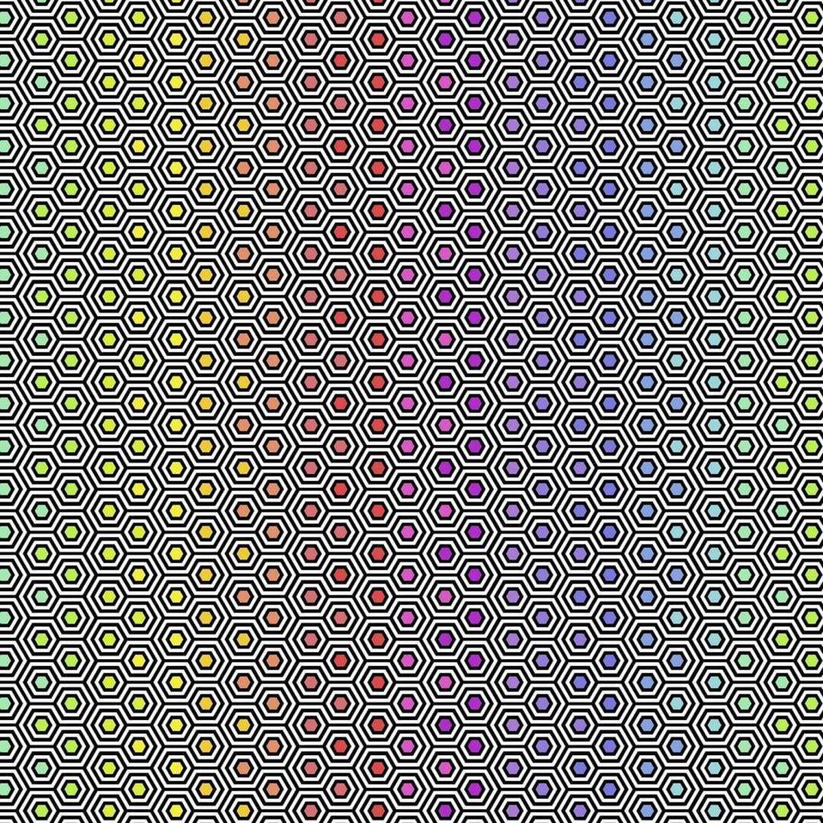 TULA PINK - LINEWORK - HEXY RAINBOW, INK