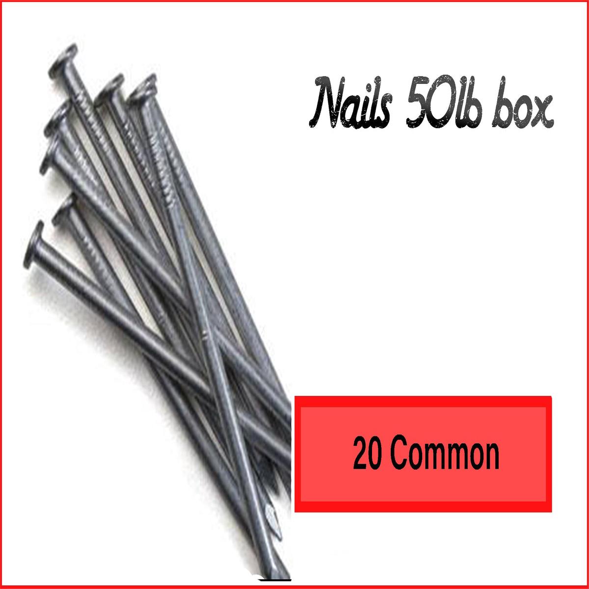 20 Common Nails