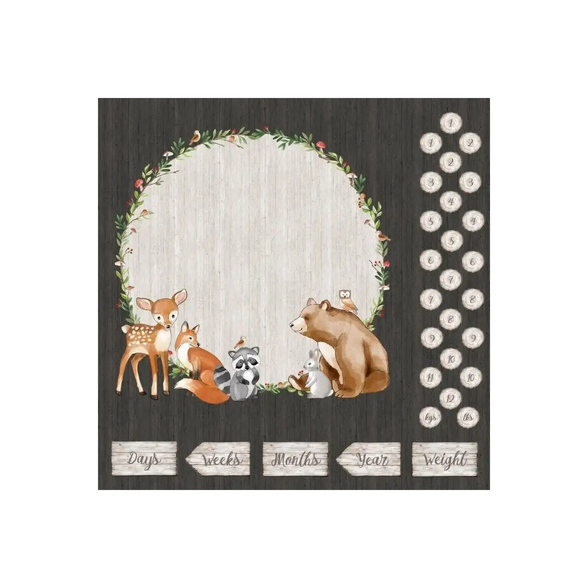 Woodland Adventures, Milestone Panel - DP25262-96* (Sold By 1/2 Meter)