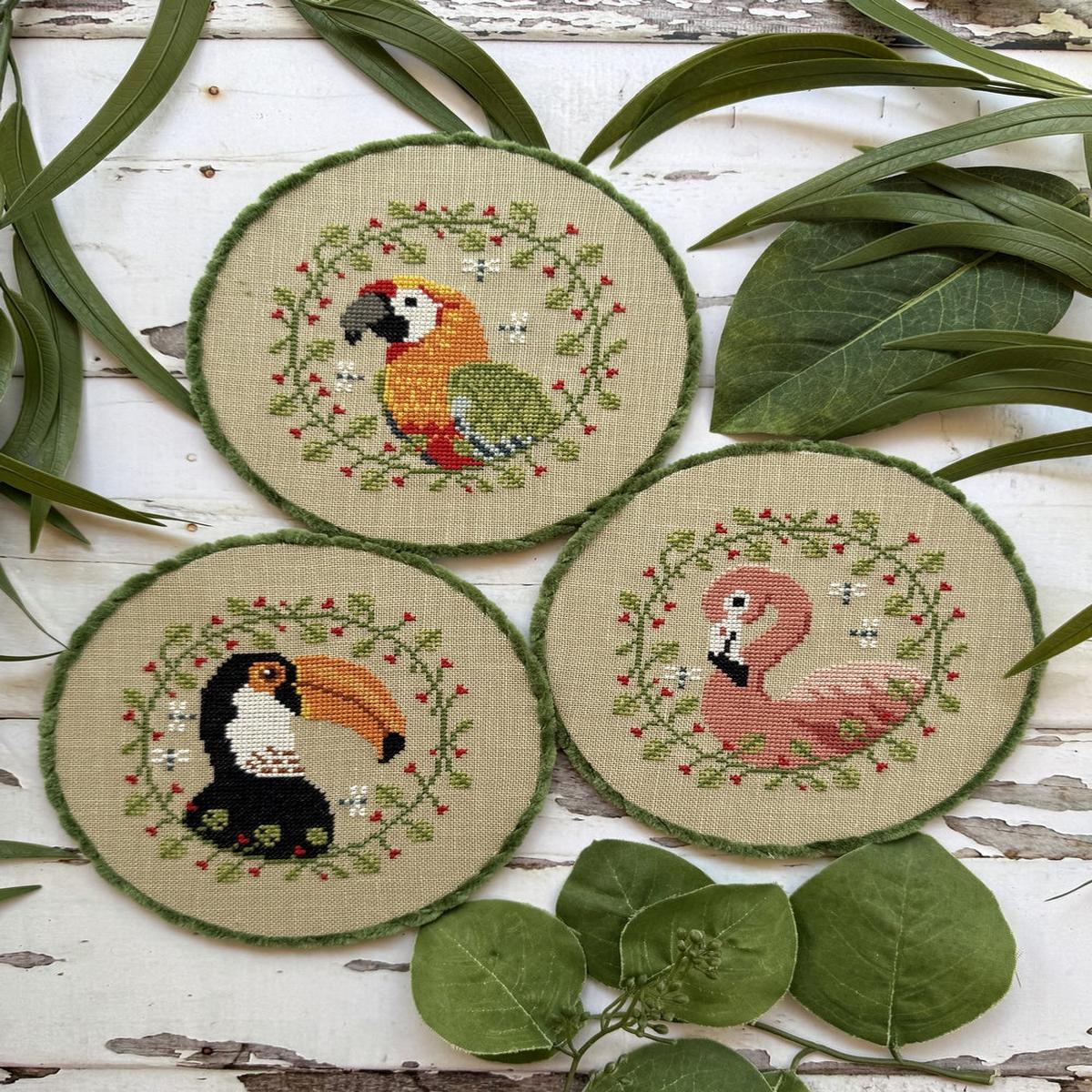 Tropical Birds Trio 2025