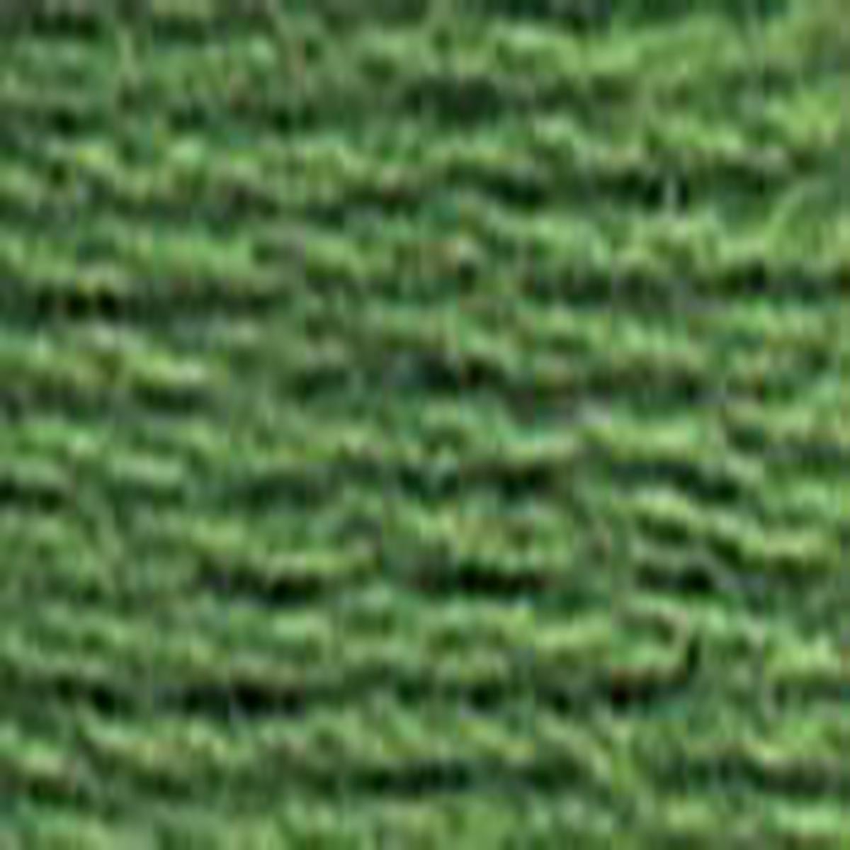 987 Dark Forest Green