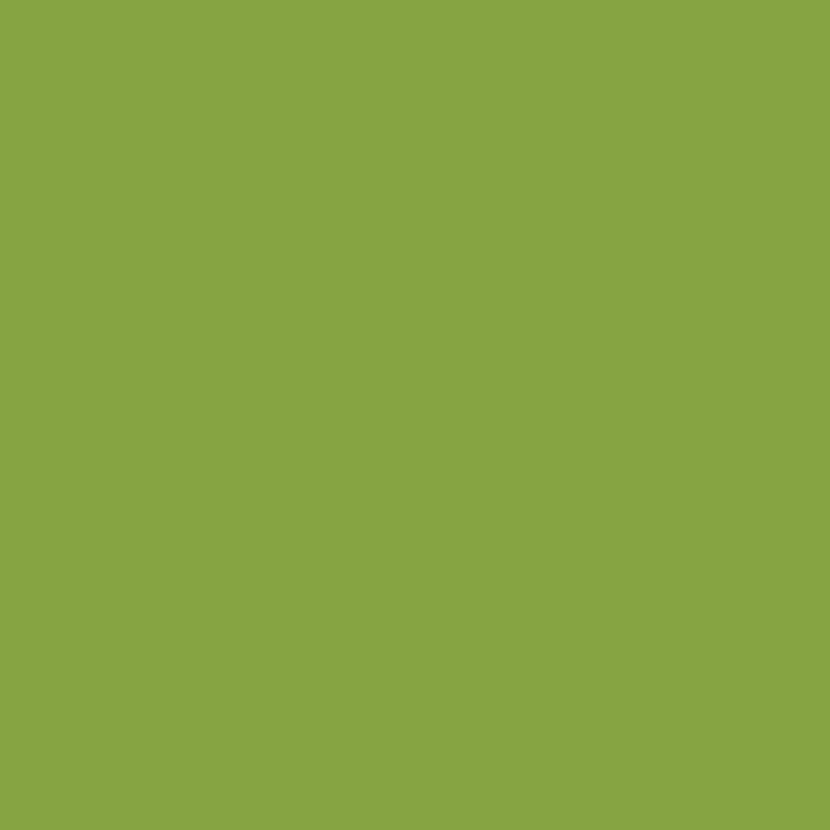 TULA PINK - TRUE COLORS - SOLIDS - Dragon's Breath, Matcha
